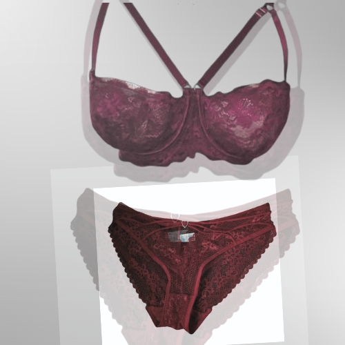 Red Heart Lace Undergarment SET